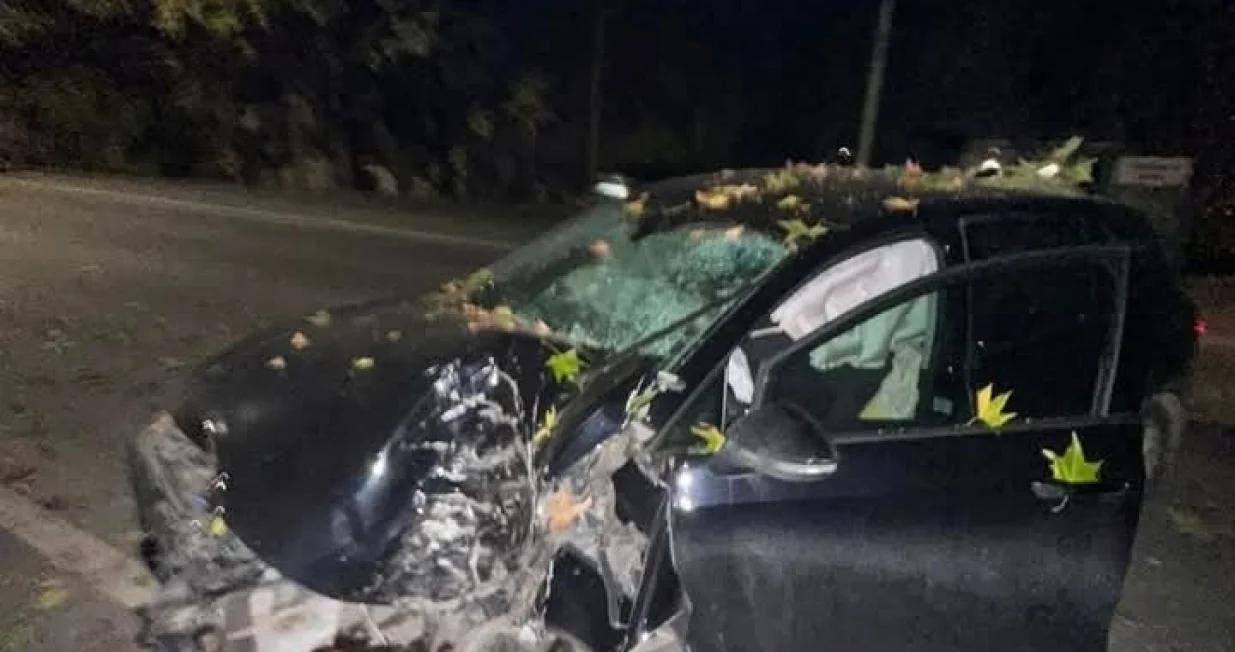 Detalj sa mjesta saobraćajne nesreće/Foto: 