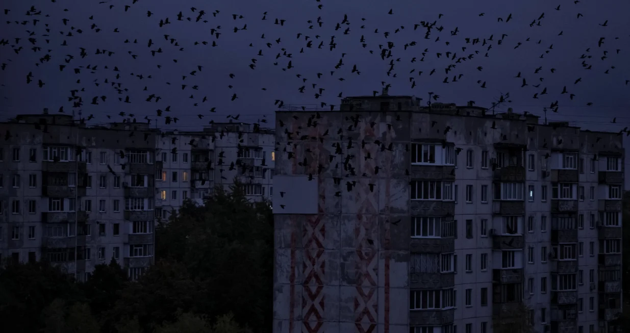 Birds fly near Residential buildings during a power blackout after critical civil infrastructure was hit by a Russian military attacks in Chernihiv region, amid Russia's attack on Ukraine, in Chernihiv, Ukraine October 2, 2025. REUTERS/Yan Dobronosov/Yan Dobronosov