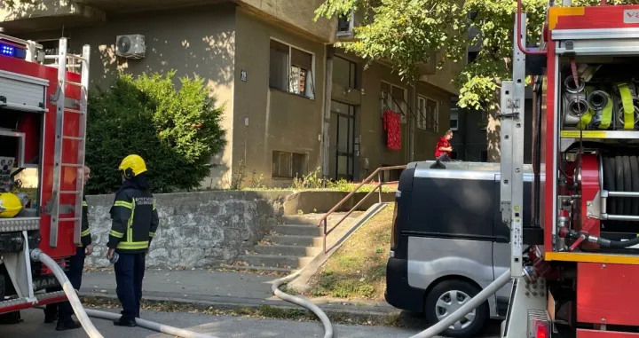 Intervenirali vatrogasci/Telegraf.rs//