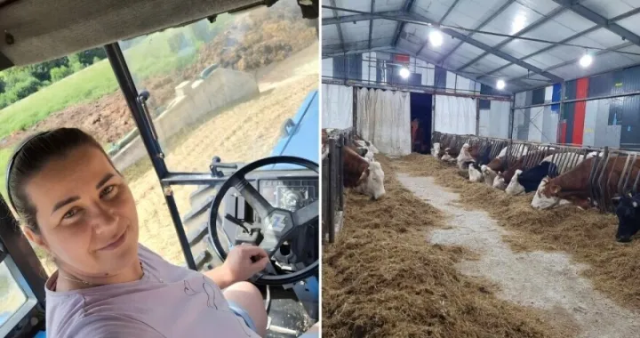 Zineta Memić, farma krava, Cazin/Agroklub.ba