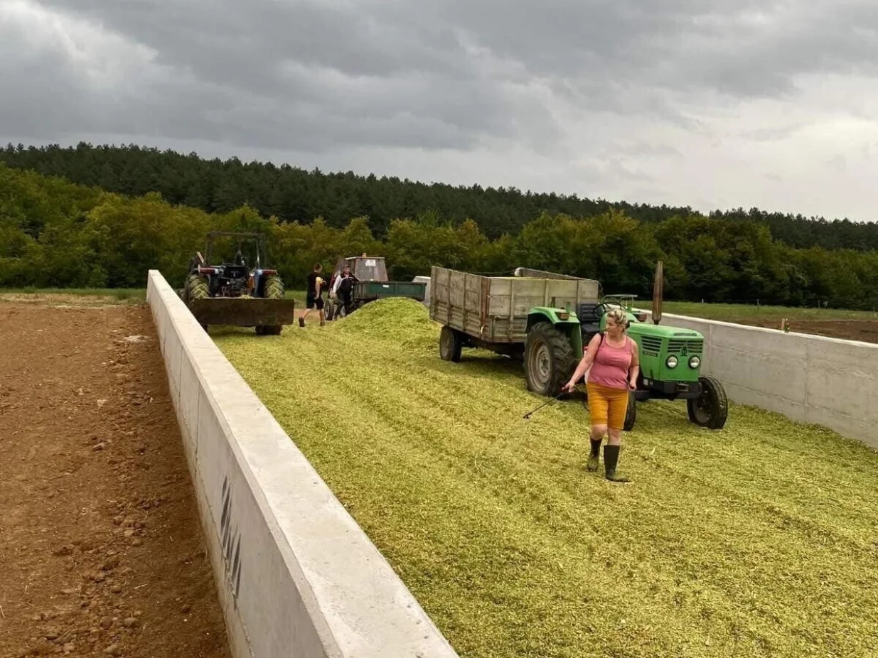 Zineta Memić, farma krava, Cazin/Agroklub.ba
