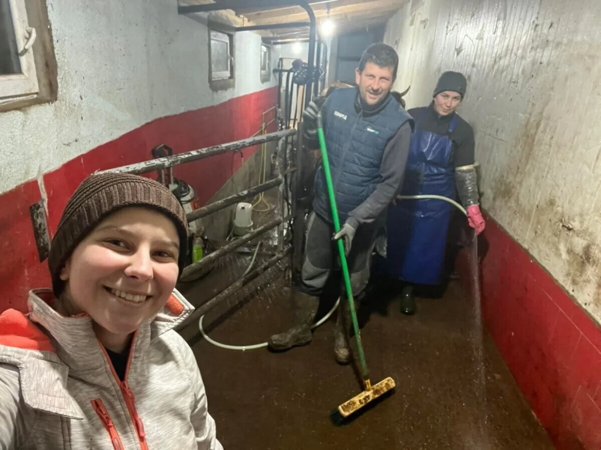 Zineta Memić, farma krava, Cazin/Agroklub.ba