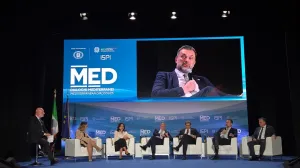 Mediteranski dijalozi, elmedin konaković, Napulj/Mvp