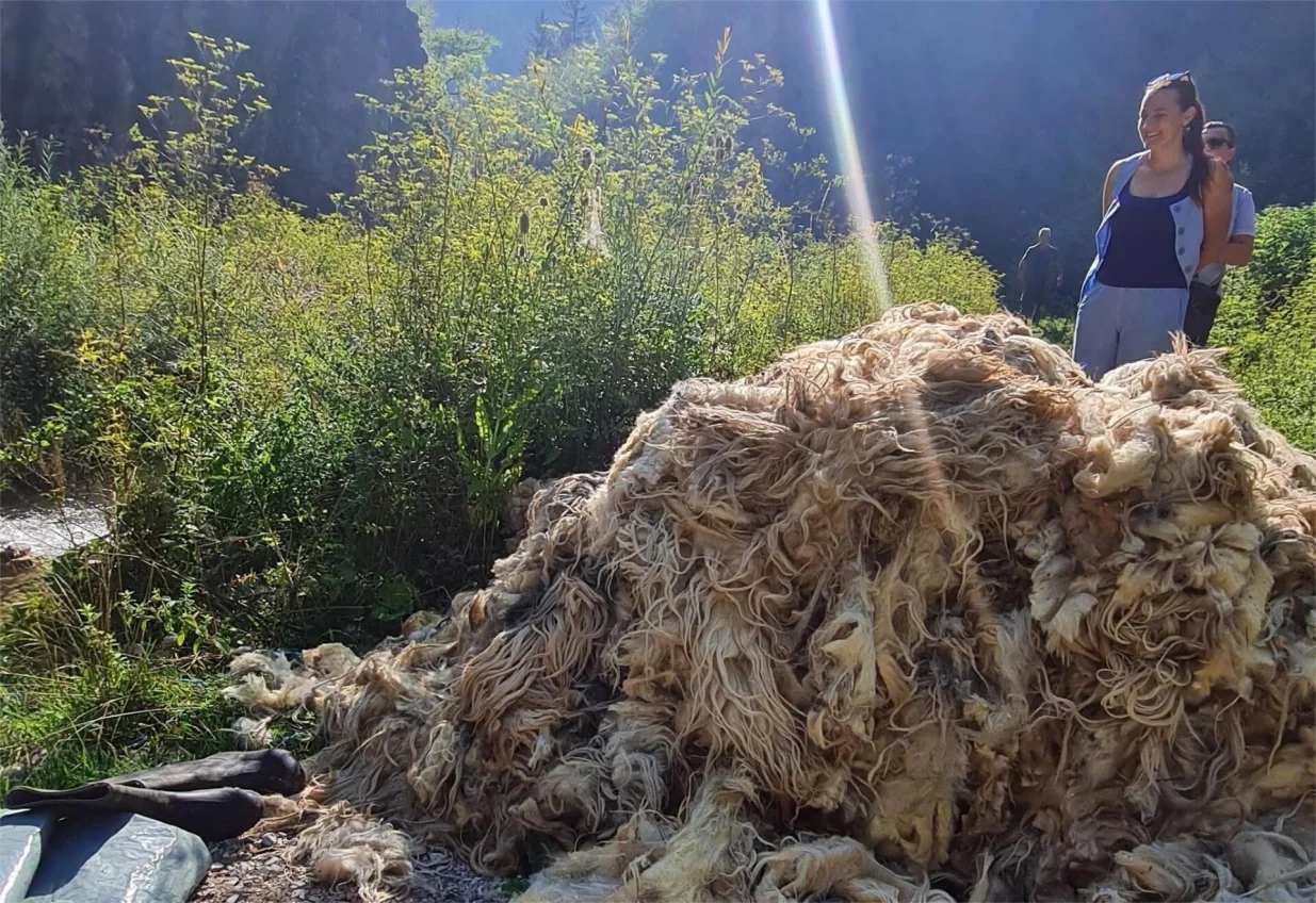 Vlašićka vuna dio tradicije/
