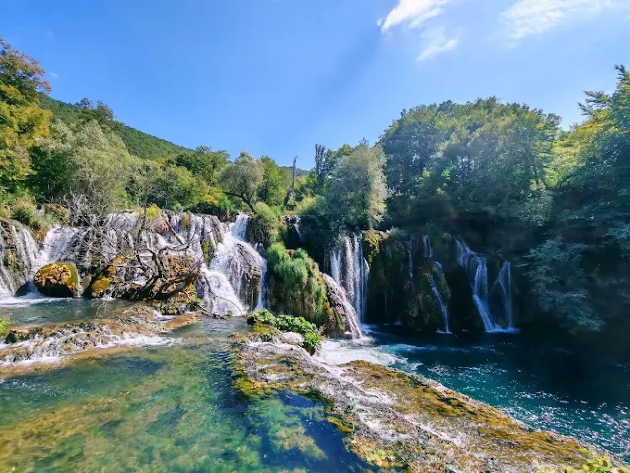 Milančev buk u Martin Brodu/