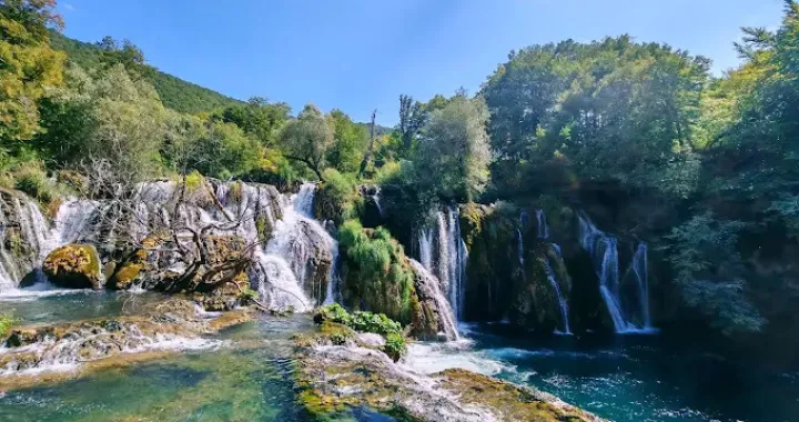 Milančev buk u Martin Brodu/