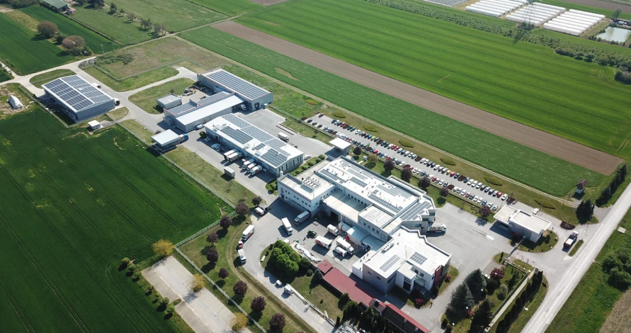 mesna industrija ravlić/