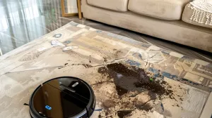 mrlje na tepihu, čišćenje tepiha, kako ukloniti mrlje/Freepik/Freepik