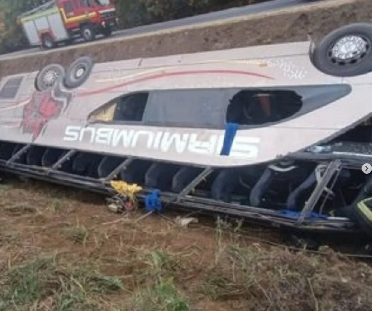 sremska mitrovica nesreća autobus sletio sa ceste /Instagram/Instagram