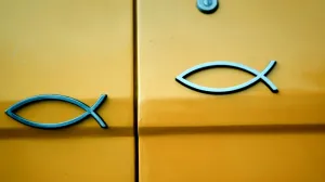 riba, auto, simbol, znak/