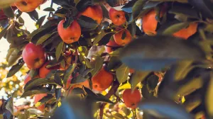 Korisnije je nego što mislite/Free Pik