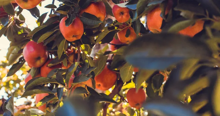 Korisnije je nego što mislite/Free Pik