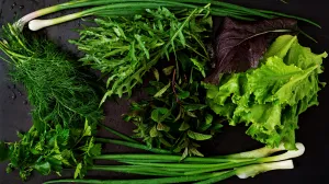 Izbjegnite ove česte greške/Free Pik