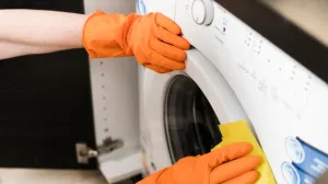 Ovo mijenja čišćenje/Free Pik