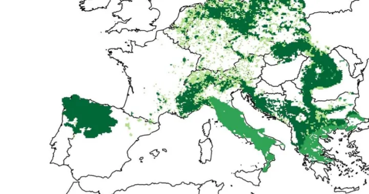 mapa, predator, vuk, evropa, rasprostranjenost/Screenshot