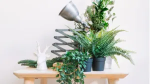 Direktan magnet za nesreću i tugu/Free Pik