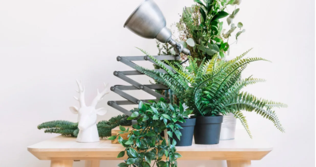 Direktan magnet za nesreću i tugu/Free Pik