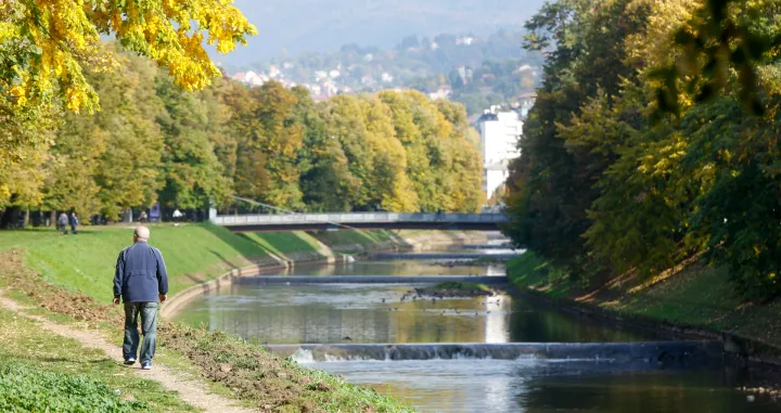 Miholjsko ljeto 2025:/Damir Deljo