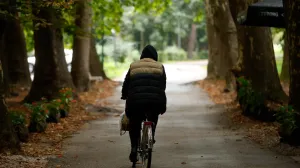 Hladno vrijeme jesen Aleja/Damir Deljo