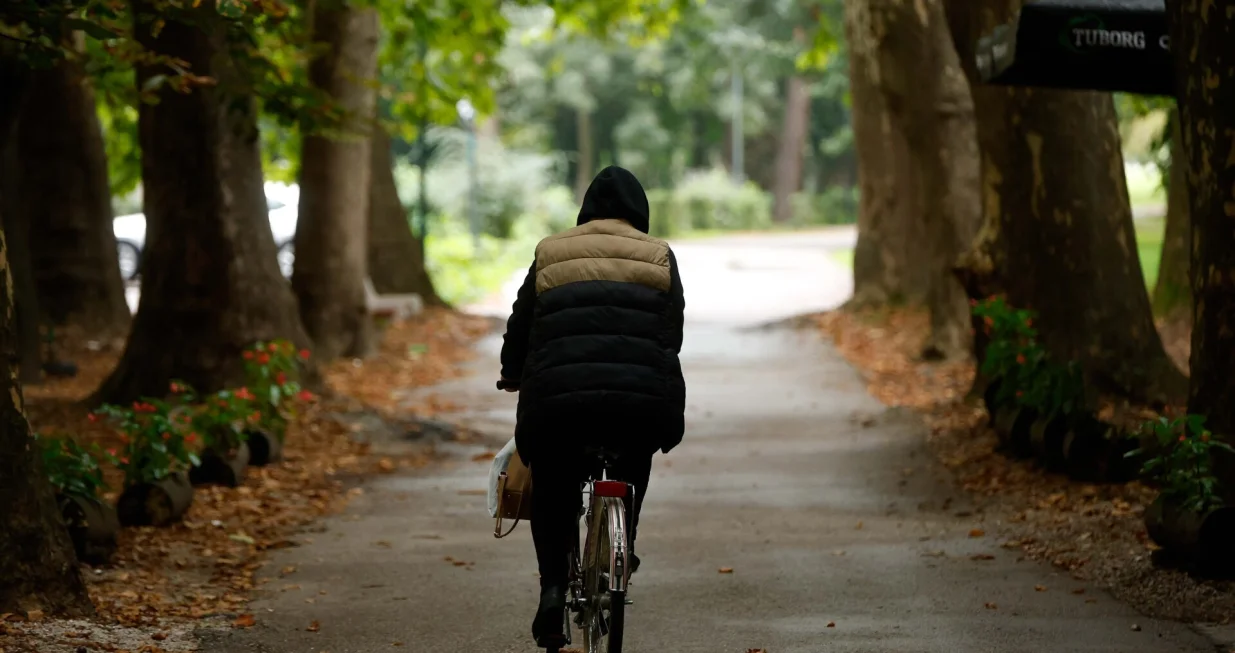 Hladno vrijeme jesen Aleja/Damir Deljo
