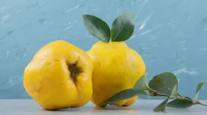 Mala voćka, velik efekat/Free Pik