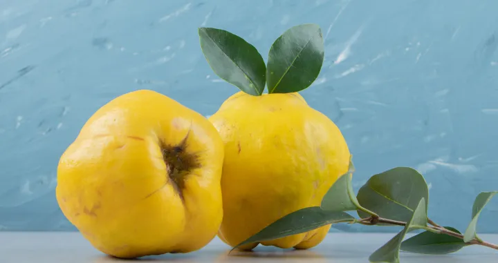 Mala voćka, velik efekat/Free Pik