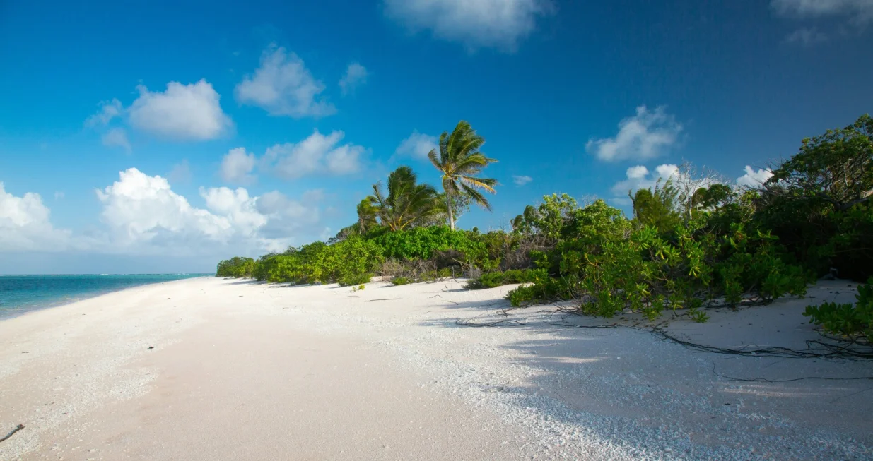 Mar&scaron;alovi otoci, otok, plaža, more, tropski/Kurt Cotoaga