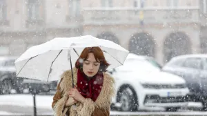 Snijeg ilustracije/Damir Deljo