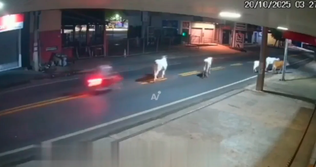 FOTO: Screenshot/Foto: 