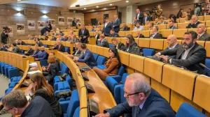 Predstavnički dom Parlamenta FBiH, sjednica, južna interkonekcija/