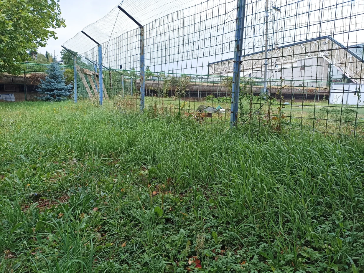 Groblje Sveti Josip i Pomoćni stadion Koševo, Kazani, grobnica/Matea JerkoviĆ
