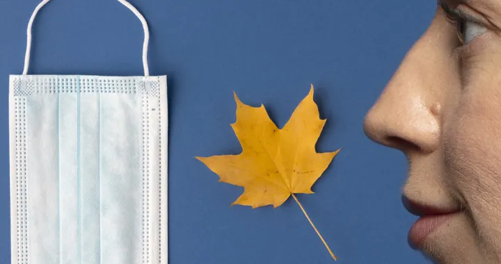 Kolumna Aide Spahić: Naredna sedmica je ključna/Ilustracija/Benjamin Krnić