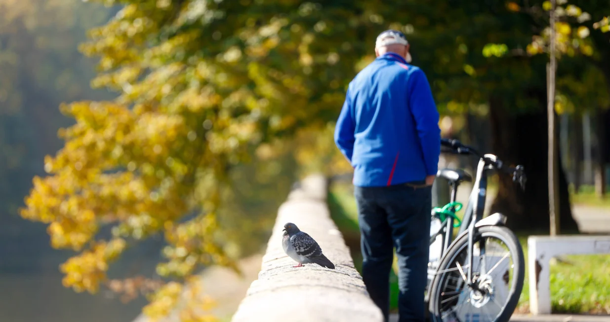 Miholjsko ljeto 2025/Damir Deljo