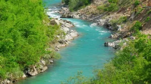 rijeka/Ilustracija/Ilustracija