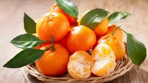 Kako prepoznati najslađe mandarine/