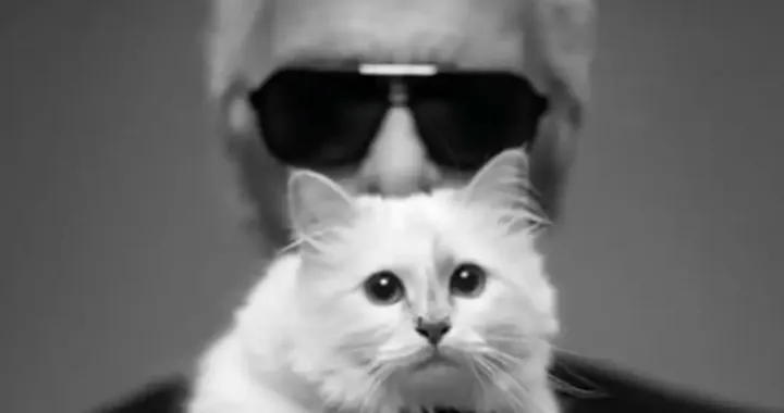 Choupette je jedna sretna i bogata mačka/ Instagram/