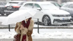 Snijeg ilustracije/Damir Deljo