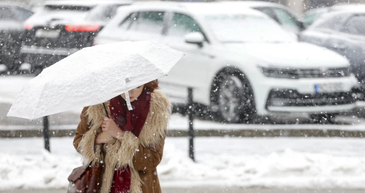 Snijeg ilustracije/Damir Deljo