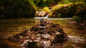 Foto Ramski vijesnik, Volujak/