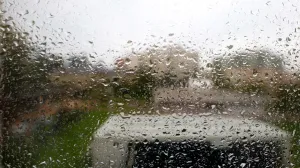 Kiša kroz prozor ilustracija/Damir Deljo