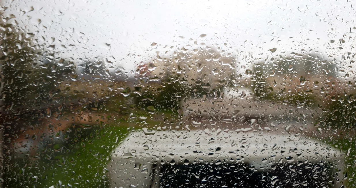 Kiša kroz prozor ilustracija/Damir Deljo