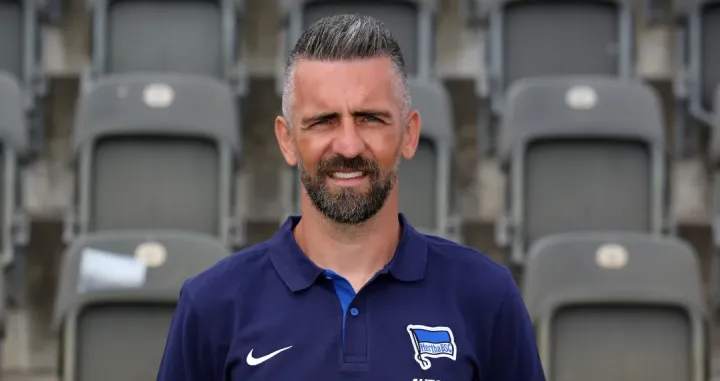 Vedad Ibišević/Foto: 