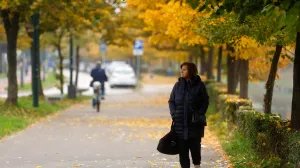 Boje jeseni 2025/Damir Deljo