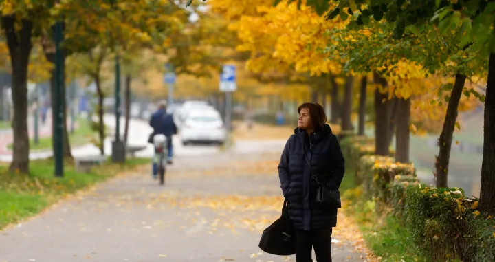 Boje jeseni 2025/Damir Deljo