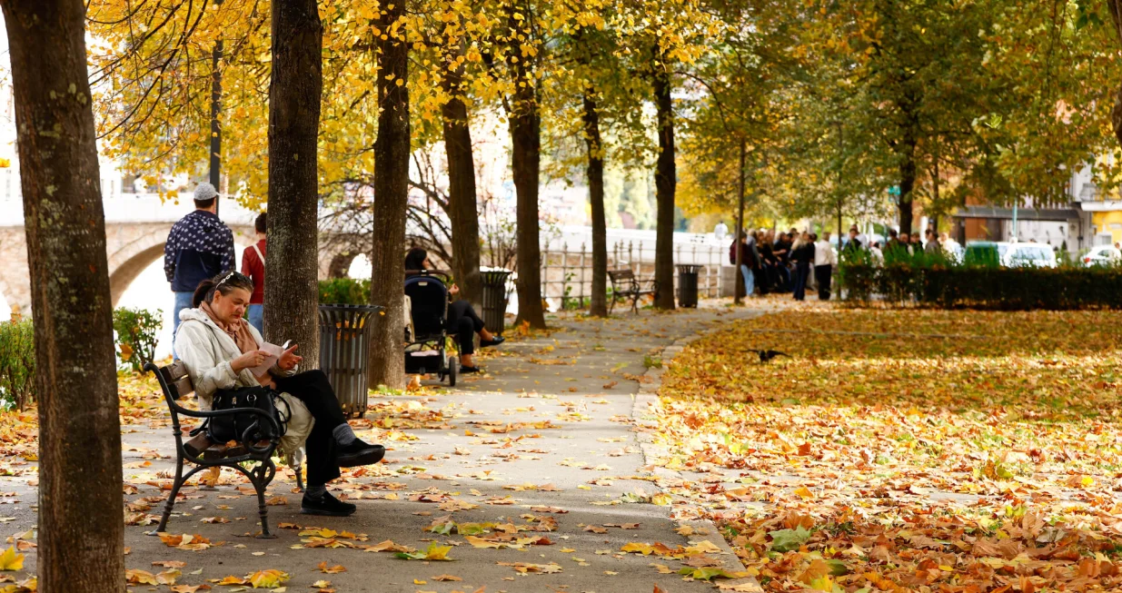 Galerija jesen otpalo lišće 2025/Damir Deljo