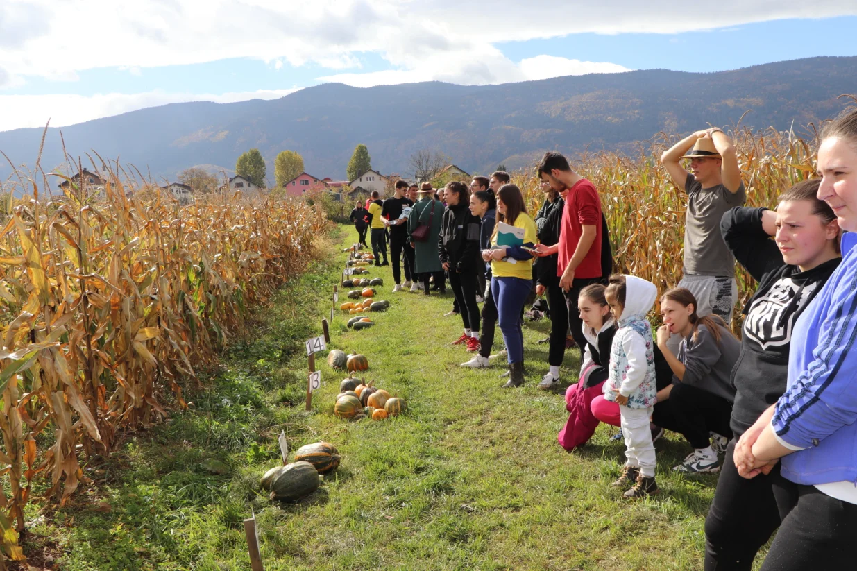 Na oglednom poligonu Poljoprivredno-prehrambenog fakulteta Univerziteta u Sarajevu u Butmiru proteklog je vikenda održano četvrto izdanje međunarodnog takmičenja Catch a Corn./Don Cadron