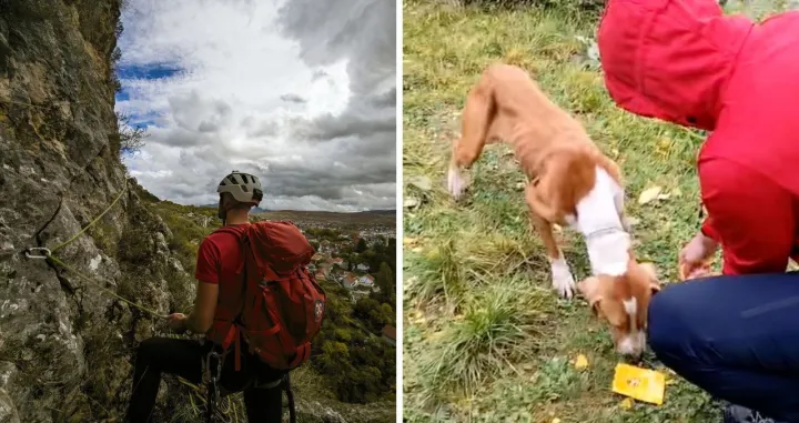 Pas je spašen/Gss HbŽ