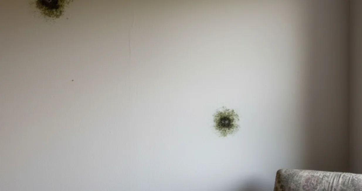 Ovo će riješiti vaš problem/Ilustracija