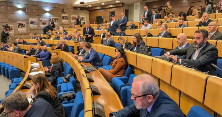 Predstavnički dom Parlamenta FBiH, sjednica, južna interkonekcija/