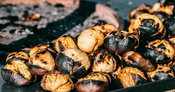 pečeno kestenje ilustracija/Screenshot